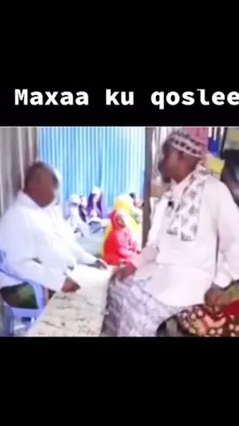 #stitch with @Jiheeye 