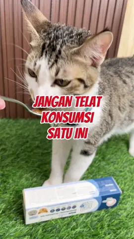 Jangan telat konsumsi probiotik ini untuk anabul kamu ya✨Karena bagus banget untuk pencernaan anabul kamu🥰 #fyp #pawsitivevibes #kucing #anabul #probiotik 