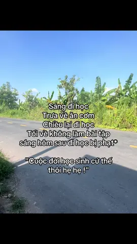 #tamtrang #tuanvi2811 