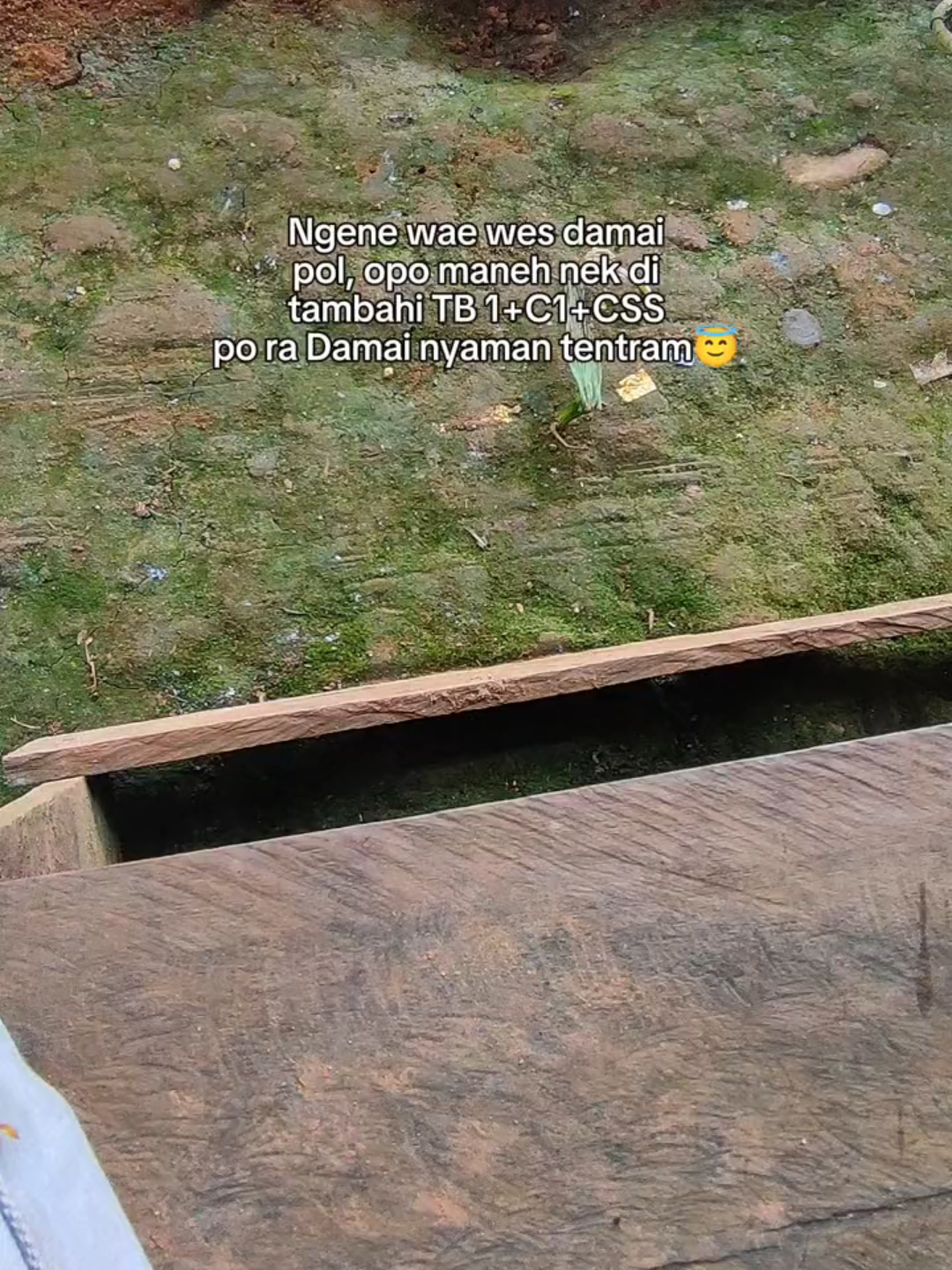 Rodo angel tapi rejeki gak kemana😅 #pyp #galapungikanamas #mancing #storymancing #berandamu #lewatberanda