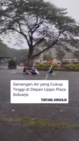 Kondisi sore ini, Senin (10/11) depan Lippo Plaza Sidoarjo. Hujan yang deras serta aliran air yang tidak lancar mengakibatkan genangan yang cukup tinggi, harap hati-hati saat melintas. 🎥 : Unyil __________________ Follow @tentang.sidoarjo  Tag/Dm untuk berbagi info tentang Sidoarjo #sidoarjo #lippo #banjir #hujan  #surabaya 