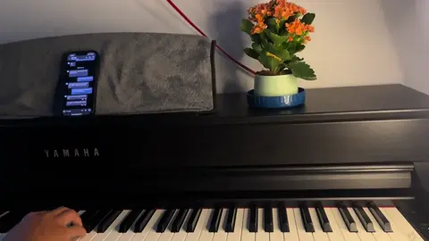 Quá đỗi nuông chiều đánh mất 1 tình yêu 💔 #coverpiano #xuhuong #anhthuaanhta 