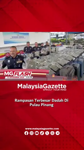 Rampasan Terbesar Dadah Di Pulau Pinang #MGFlash  Sindiket pengedaran bunga ganja tumpas dalam dua serbuan di Bukit Mertajam minggu lalu dengan rampasan bernilai RM8.88 juta, disifatkan rampasan terbesar di P. Pinang tahun ini.  #malaysiagazette