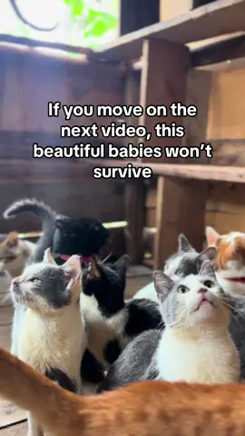 If you see me on your page, would you give me a 