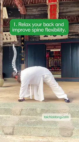 https://taichizidong.com Specific exercise improve symptoms, daily full-body exercises remove root causes.