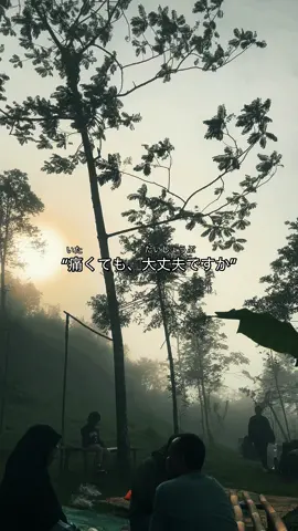 どうなお？？#一言 #japanesequotes #hiragana #sunrise #forest 