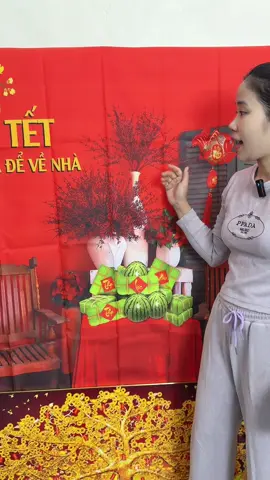 Phông nền trang trí tết#phongnentet#trangtritet#phongnentrangtritet