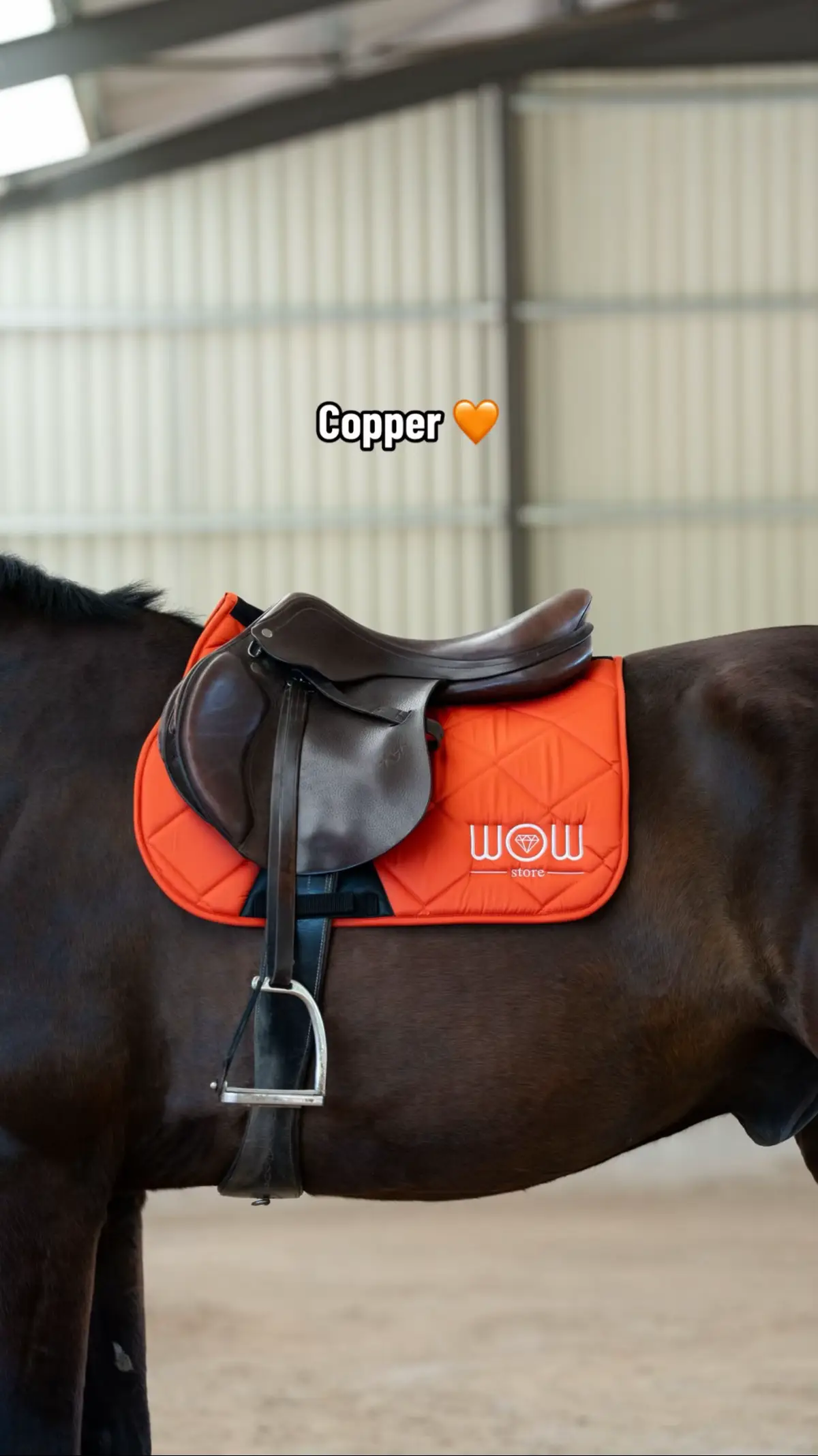 Alors, c’est quoi ta couleur préférée ? 🤭 On est sûr qu’il vous manque une des couleurs à votre collection ! ✨ Direction la boutique en bio, vous avez -30% avec le code « 30OFF » ! 🔗 #equestrian #horse #horsebrand #equitation #fyp 