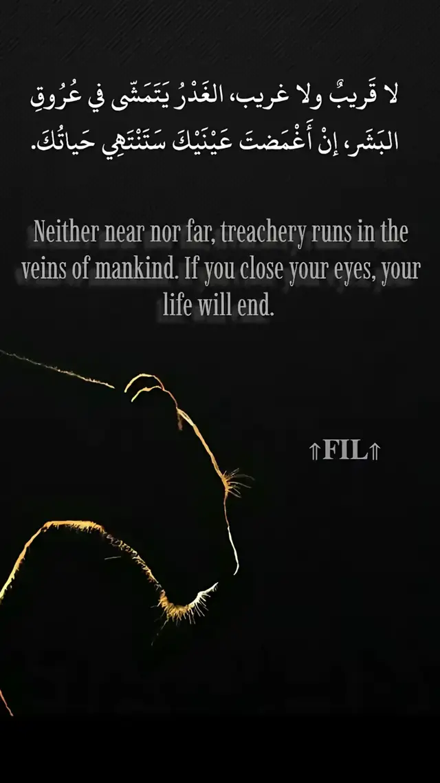 #الطالبيه_بلدنا #bondok🦁🏅 #اخصام_سهله 