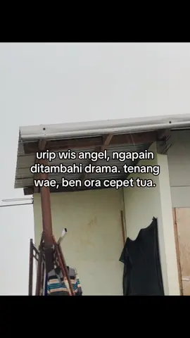 #jowostory #fyp #trending #bismillahfyp #viral 