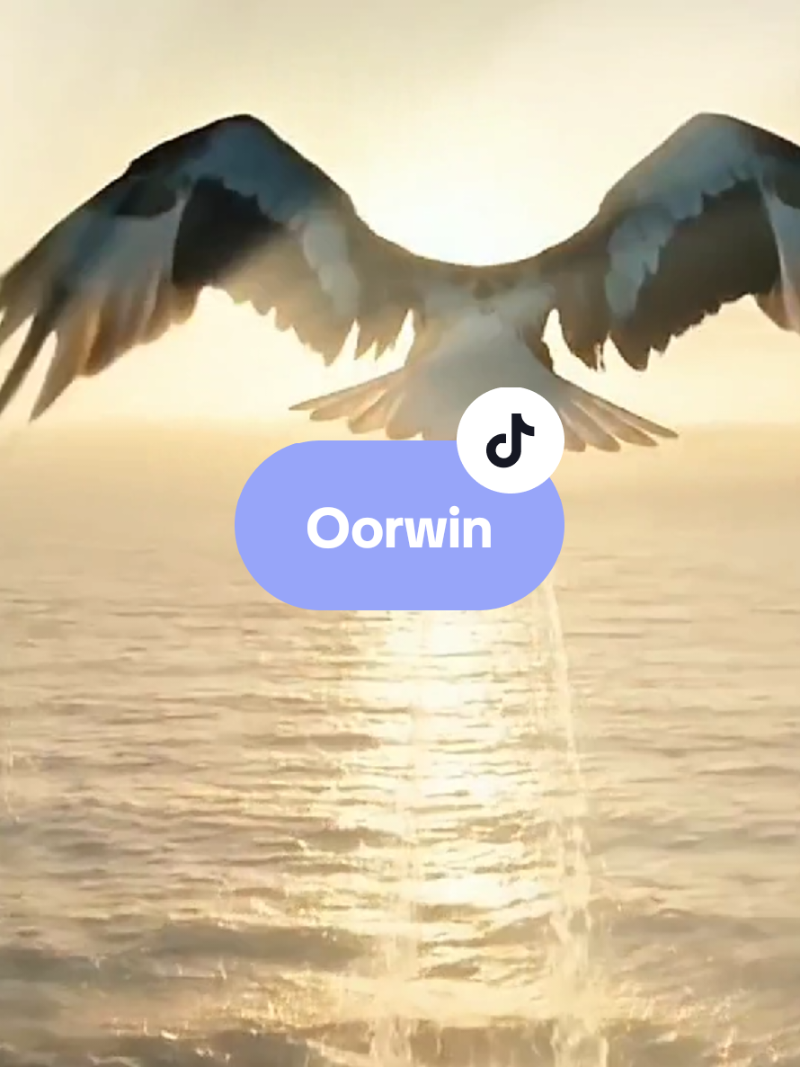 Die einde is my fav.😍🔥 #fyppppppppppppppppppppppp #stroomlynmusiek #oorwin #musiekvirdiesiel #vrede 