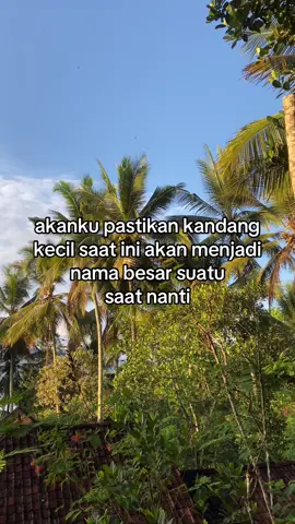 proses yg butuh kesabaran dan keyakinan😊#ayambangkok #bangkok #peternakmuda #hobyayam #xybca 