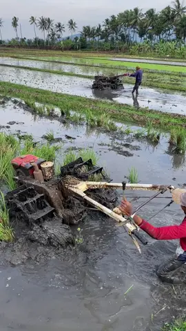 #fyp #petanimuda #masukberanda #xyzbca #foryou 