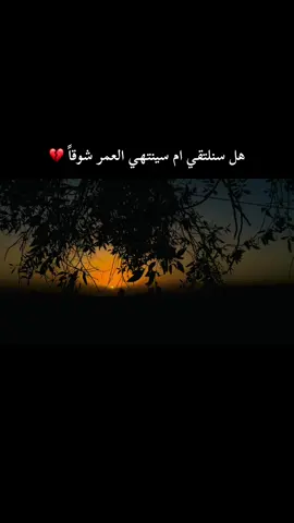 تفاعلكم اخوتي 🥲#تصويري_احترافي_الاجواء👌🏻🕊😴 #تفاعلكم_حتى_أستمر #مقالات_حزينة💔🖤 #صعدو_الفيديو 