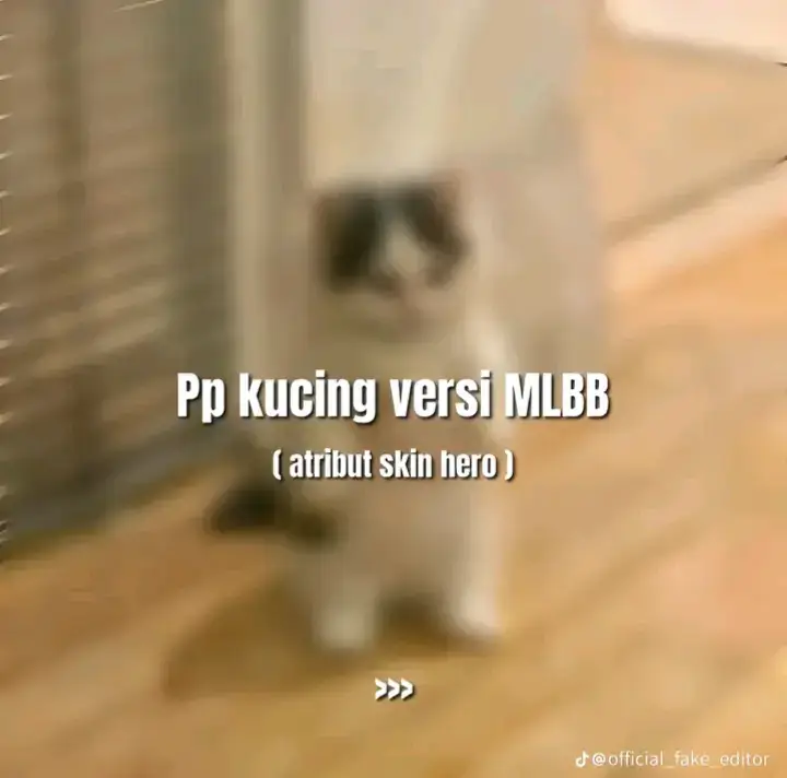 pp ml kece,pp ml ,pp kece ,pp ml kece no alay ,kalo GK rame hapus soalnya udah keseringan pos#ppmlkece#fyp #kucing #mlbb #gaksukaskip📵 