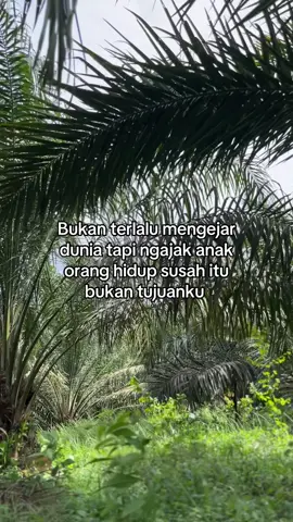 #sawit #bossawit #petanimuda #masukberandafyp #fyppppppppppppppppppppppp 