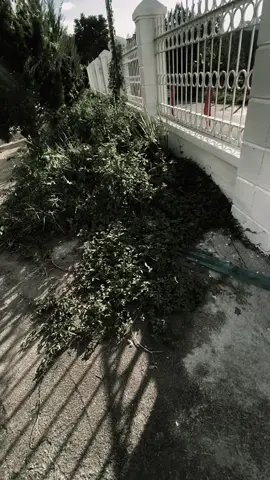 珍惜生命中流逝的每一个瞬间。因为它只有一次,永远不会回来,也无法再找到。Hãy trân trọng từng khoảnh khắc đang lướt vội qua trong cuộc đời bạn. Bởi vì nó chỉ đến một lần duy nhất không trở lại, cũng không thể tìm lại.. #nhactamtrang #fyp #tamtrang #captrungquoc #t 