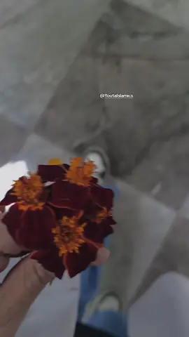 من علامات استحابة الدعاء #الدعاء #الدعاء_المستجاب #استجابة_الدعاء #اللهم_صلي_على_نبينا_محمد #الصلاة_والسلام_عليك_ياحبيبي_يارسول_الله 