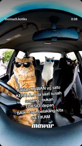 salam maghrib#fypviraltiktok🖤シ゚☆♡ 