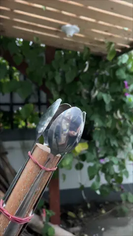 DIY Magic Tool for Installing Light Bulbs in High Places #diytools #DIY #hardwares - #knot#knots #rope #ropes #ropeskills #ropework #ropeworker #knottutorial #knottutorials #ropetutorial #camping #fishing #boating #sailing #climbing #knotsforcamping #knotsforfishing #knotsforclimbing #knotsforbeginners #lifeskills #lifeskill #LifeHack #boyscouts #boyscout #bushcraft #survival #ourdoors #knotting #knottying #sheetbend #hitch #usefulknots #simpleknots #bestknot #bestropeknots #7essentialknots #knotsidea #singleknots #howtotie7basicknots #howtoknot #howtotiktok #tarpaulin #tarp 