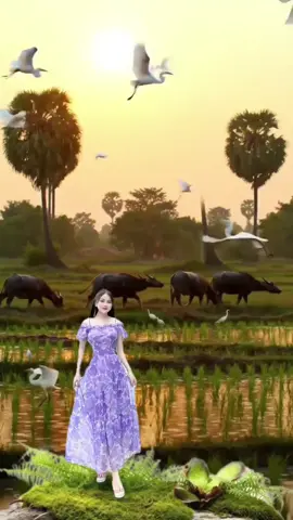 #creatorsearchinsights #romanticsong #mixedsong #omtoch999 