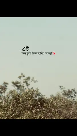 ~এই মনে তুমি ছিলে তুমিই আছো!❤️‍🩹