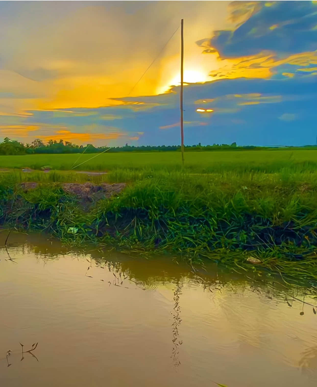 Có ngờ một con nước lên.. #binhyen🌾🌴 #chillmientay #mientayquetoi #phongcanhthiennhien #netdepmientay 