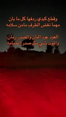 #explor #قصيد #fyp #explore 