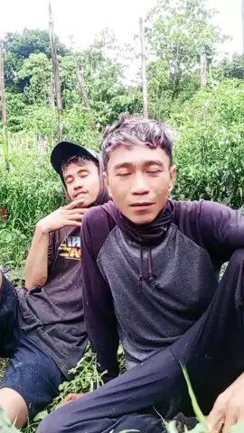 koncoku lek di omongi Jan angel