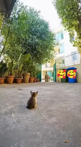 #fyppppppppppppppppppppppp 