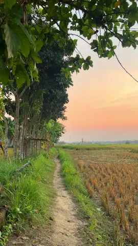 ☺️ #foryou #foryoupage #fyp #nature #village 