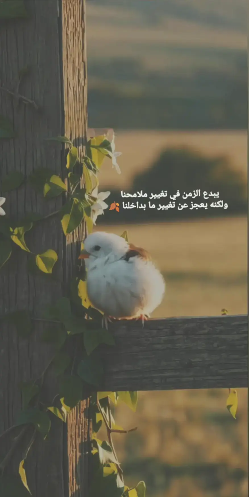 #عبارات #تصميم #استوريات #🍂  #عباراتكم_الفخمه📿📌 @رآندي✪ 