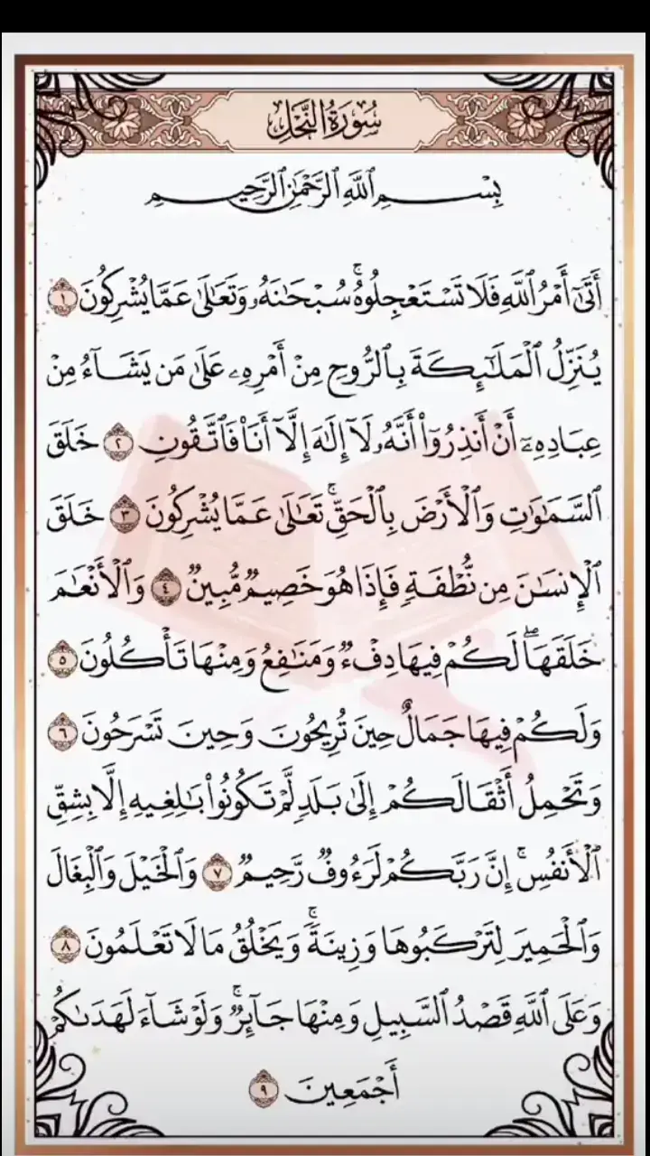 شفاء الروح  قران كريم @