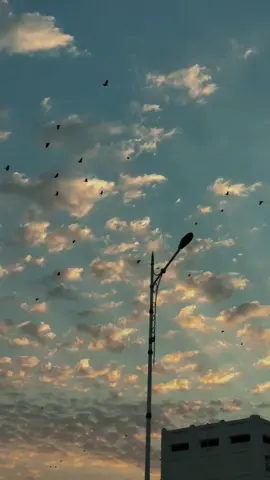 Fon🫴🏻⛅️ #keşfetteyizzz 