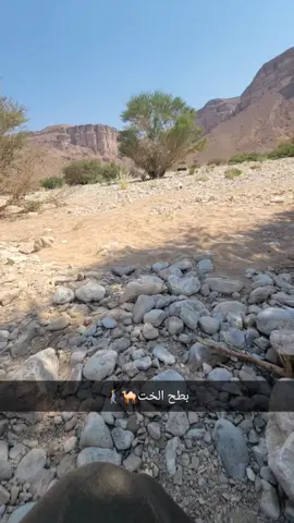 #الشعب_الصيني_ماله_حل😂😂🏃🏻‍♀️ #اكسبلورexplore #تصور_بدويءبريطاني🐪🚶‍♂️ 