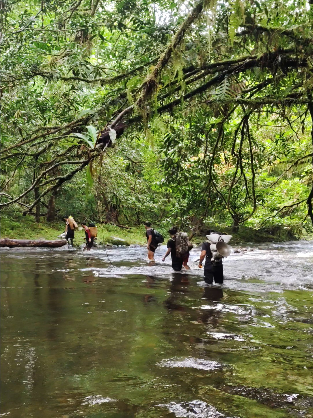 Alam #kalimantan #dayak #hutan #kemping #fyppppppppppppppppppppppp 