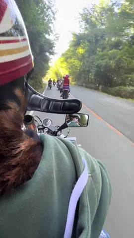 単車復活するか悩み。 #過去動画#単車#熊本#05