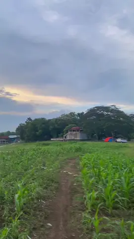 Agendakan nyore + camping + mancing masuk mancing madang e iwak bakar 🫠#fyp #kedungombo #bellawana #bcaxyz #fypシ゚viral🖤tiktok 