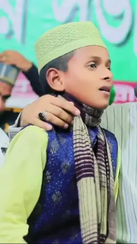 আমি লিখবো চিঠি দিব তোমায়, পাখি পৌঁছে দিও রওজায়। #madina  #tiktok 