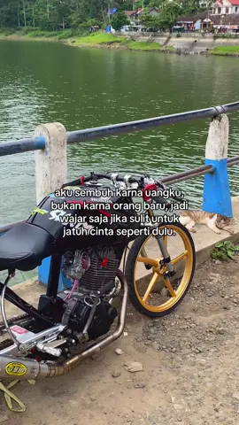 #tigersknda #herexponorogo_id #ponorogo24jam #herexjatim #fyp 