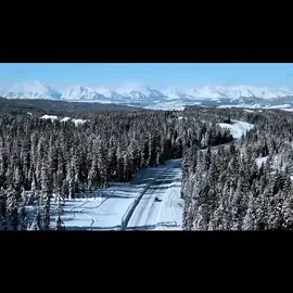 Jessie Pinkman winner 🏆 #jessiepinkman #edit #breakingbad #bettercallsauledit #viral 