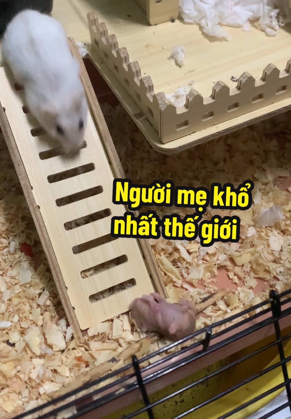 Người mẹ khổ nhất thế giới….