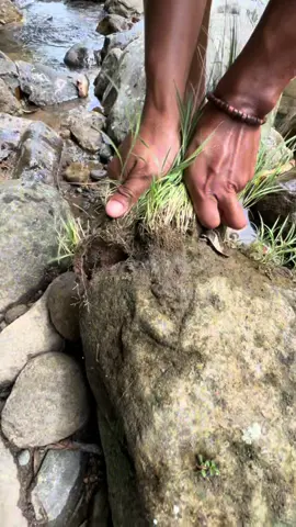 gold diggers #reels #viral #fyp