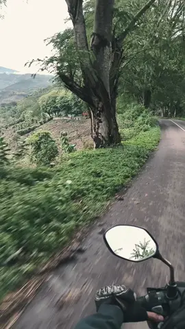 ncai kapenta, wera, Bima, NTB