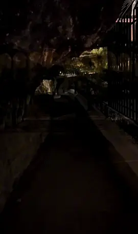 #شعب_الصيني_ماله_حل😂😂 #foryoupage #viral #viraltiktok #قسنطينة 