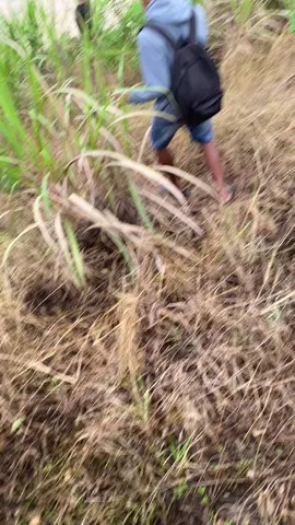 Aku karo arek arek menemukan pantai bolo diblitar tempatnya sepi pengunjung pantainya bersih pemandangan cukup indah cuma jalan turunnya agak lunyu jadi agak keplese keplese gitu lewatnya. #pantai #beach #blitar24jam 