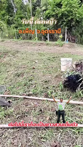 #เทรนด์วันนี้อันดับ1 #พีชปาล์มพืชเศรษฐกิจใหม่ #ไม้ฮวงหัวลี่เพื่อการส่งออก #ยุทธ ทีพีเค พีชปาล์ม&ฮวงหัวลี่##