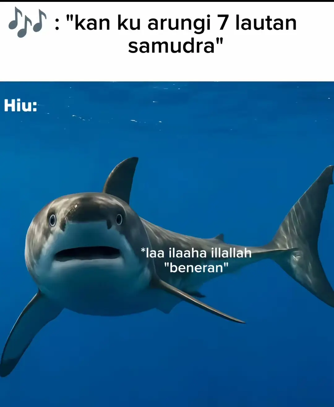 #penjagahati #nadifbasalamah #song #fyp #foryou 