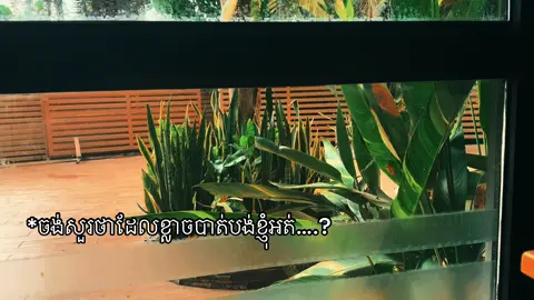 💔#fypシ #ខុមចិន្ដា 