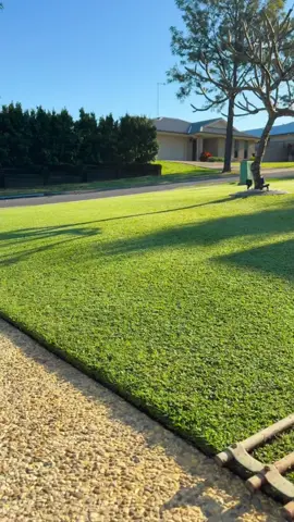 cắn tóc giông như của thầy #fyp #xuhuongtiktok #suthatthuvi #suthatngaunhien #kienthucthuvi 